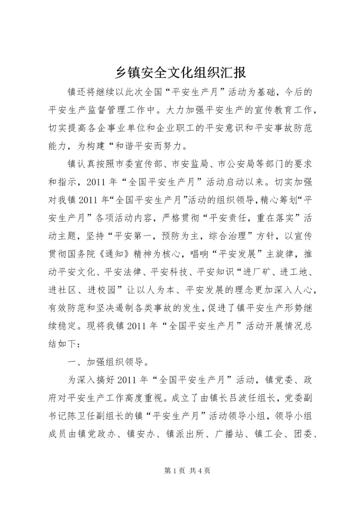 乡镇安全文化组织汇报.docx