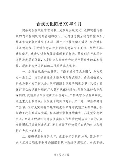 合规文化简报XX年9月 (3).docx