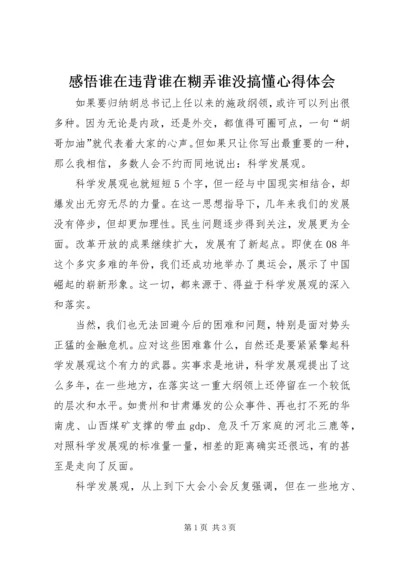 感悟谁在违背谁在糊弄谁没搞懂心得体会.docx