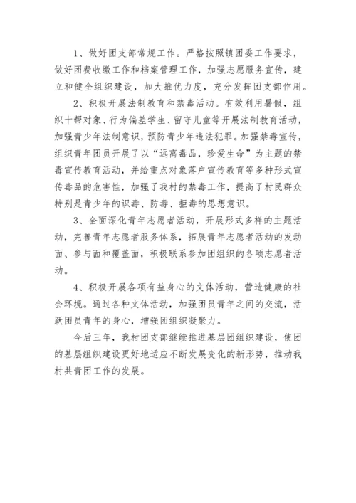 共青团村支部第三届委员会工作报告.docx