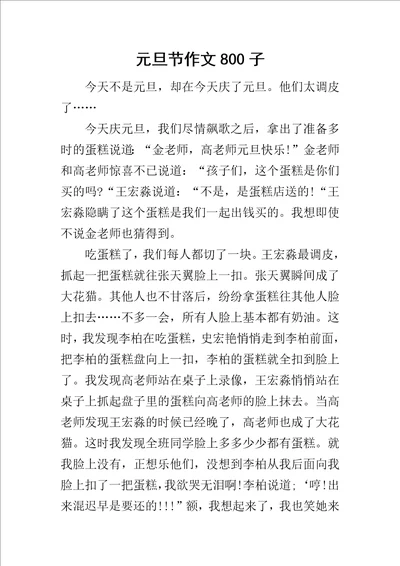 元旦节作文800子