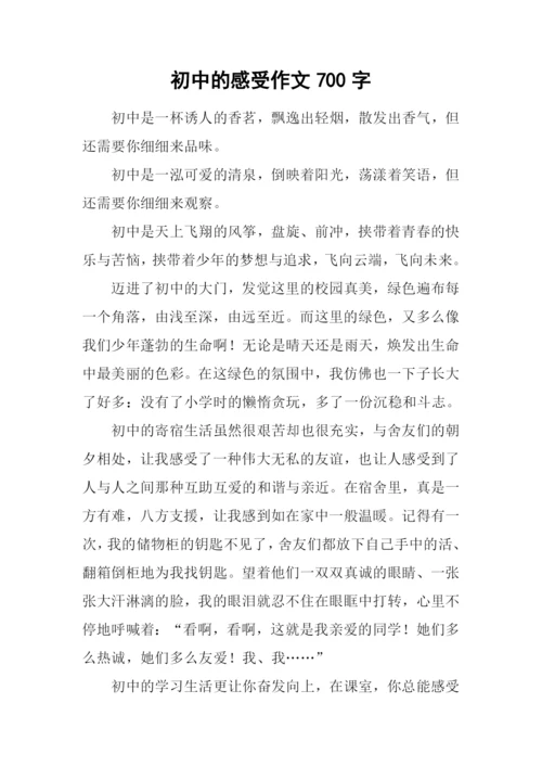 初中的感受作文700字.docx