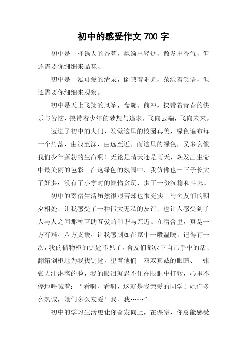 初中的感受作文700字.docx