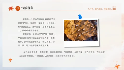 白色淡雅实拍风中国传统节气寒露节气介绍PPT