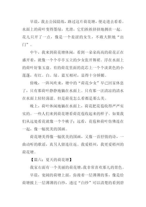 夏天的荷花塘作文400字.docx
