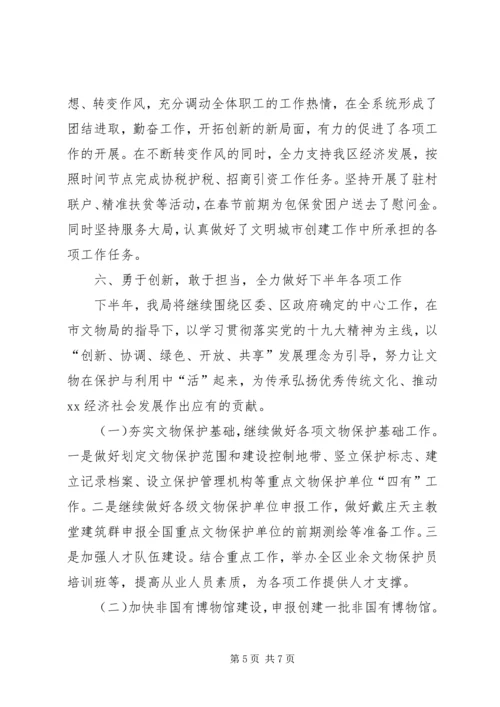 文物局XX年上半年工作总结及下半年工作计划.docx