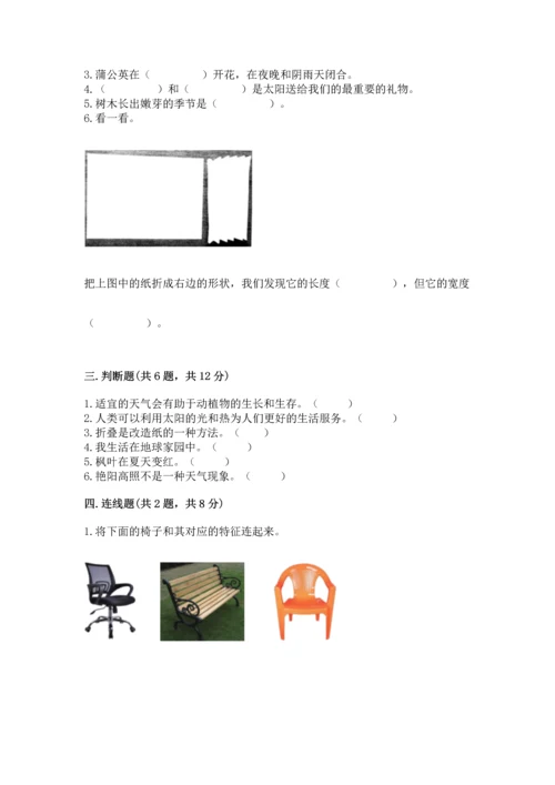 教科版二年级上册科学期末测试卷及完整答案.docx