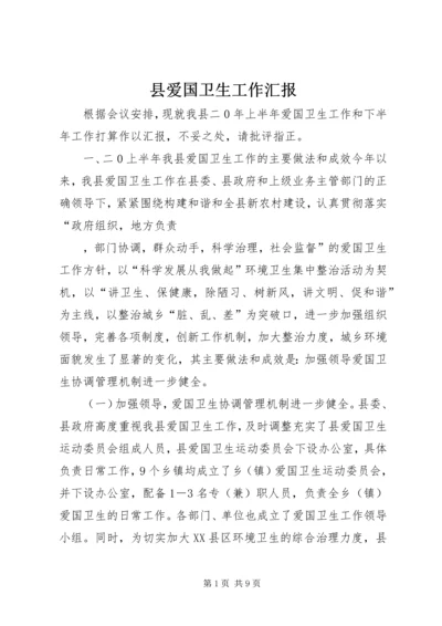 县爱国卫生工作汇报 (2).docx