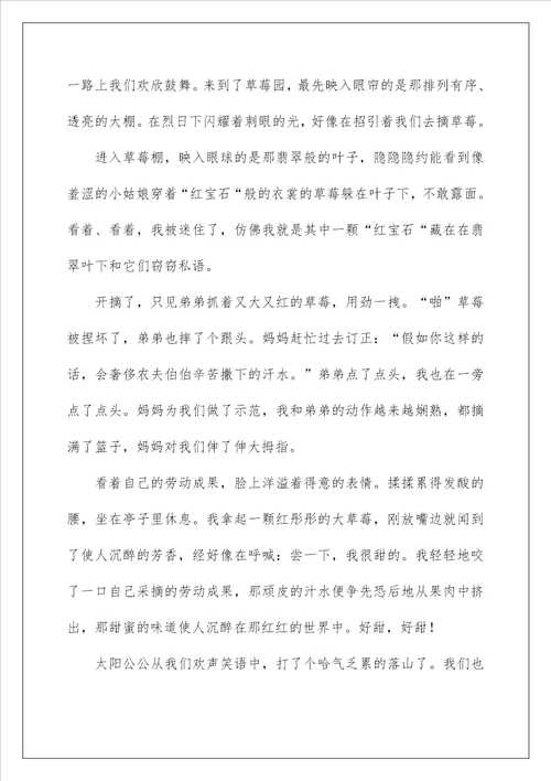 我的植物朋友草莓作文500字