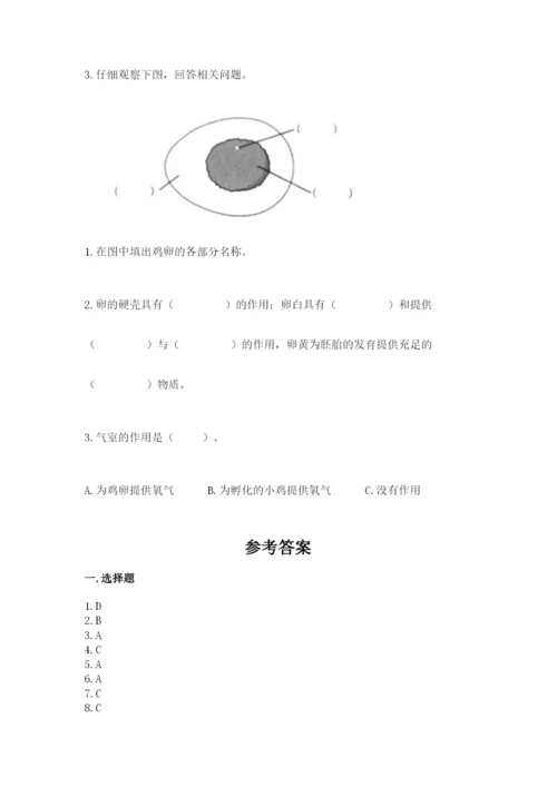 教科版科学三年级下册期末测试卷含答案（夺分金卷）.docx