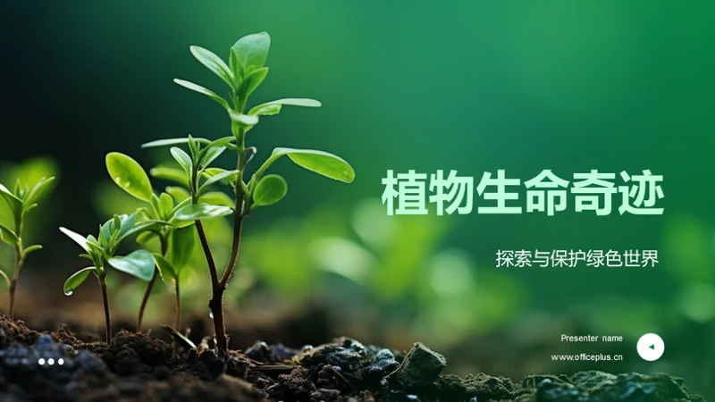 植物生命奇迹