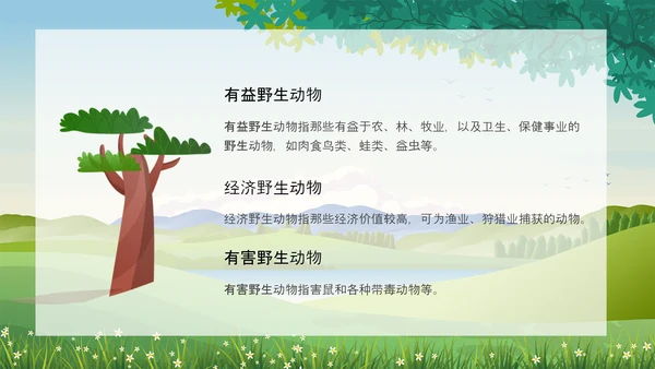 野生动物保护法公益活动宣传森林PPT模板