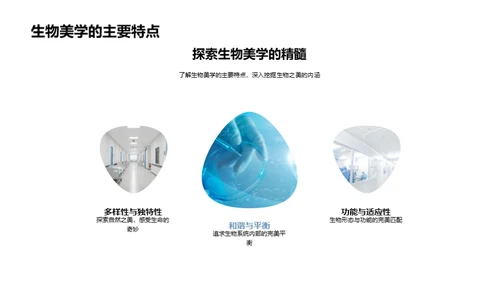 生物美学在科技中的应用