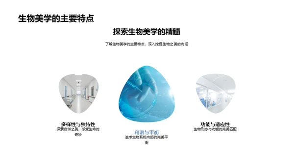 生物美学在科技中的应用