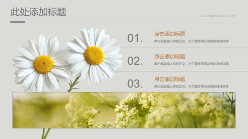 灰色小清新风雏菊总结汇报通用PPT演示模板