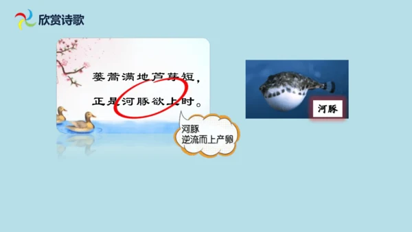 1 古诗三首  惠崇春江  晚景   课件