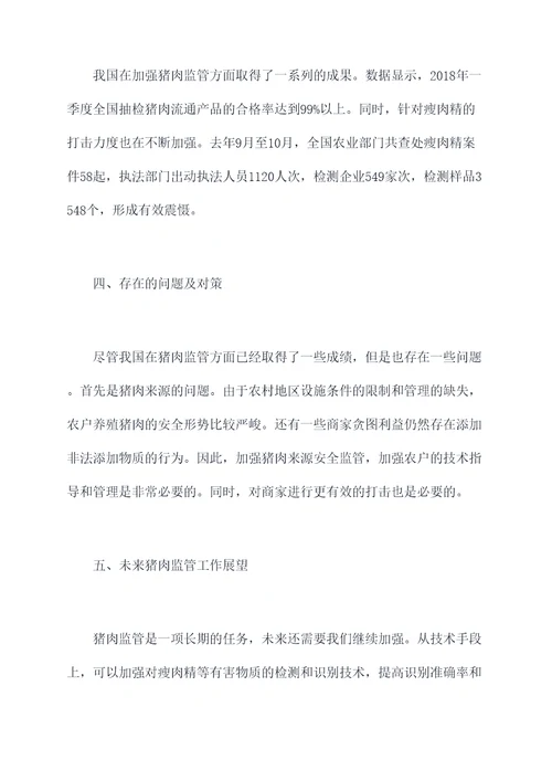 猪肉监管工作报告
