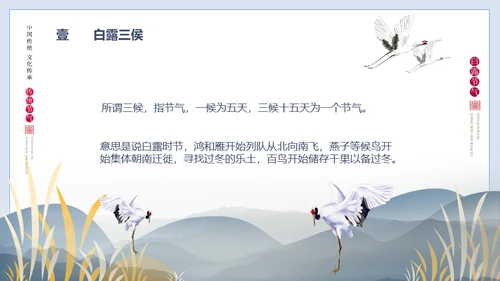白露节气白鹤通用PPT模版