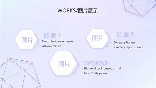 公司品牌策划方案工作总结计划PPT