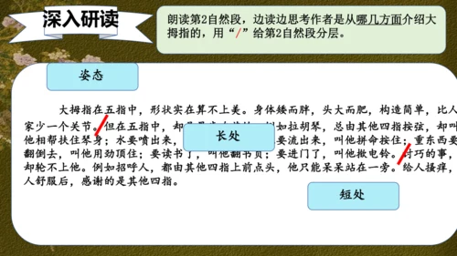 22 手指 课件