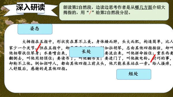 22 手指 课件