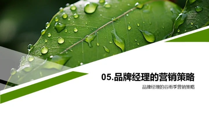 谷雨季营销策略探析