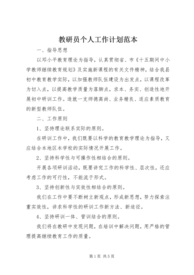 教研员个人工作计划范本.docx
