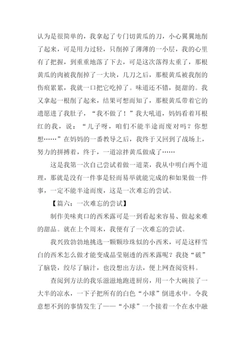 一次难忘的尝试作文600字.docx