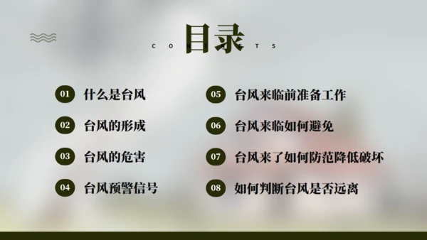 台风来袭，防台风安全教育培训通用PPT模版