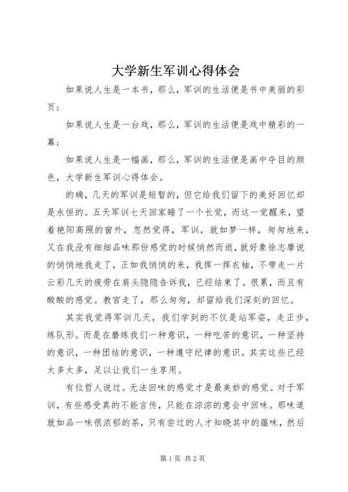 大学新生军训心得体会.docx