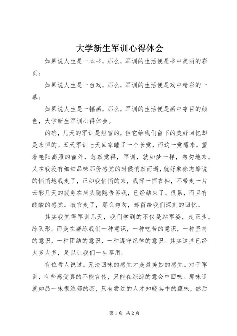 大学新生军训心得体会.docx