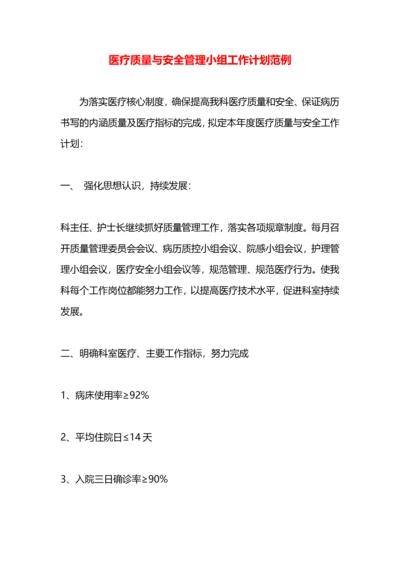 医疗质量与安全管理小组工作计划范例.docx