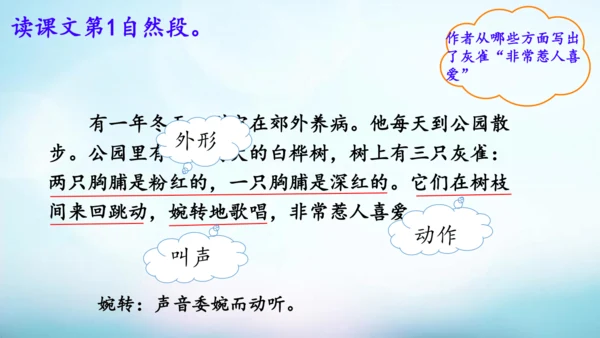 第25课《灰雀》课件