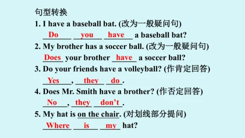 Unit 5 Grammar Focus课件 （人教新目标七年级上册Unit 5 Do you ha