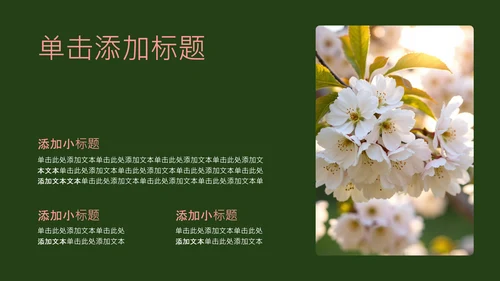 粉绿色简约几何樱花介绍