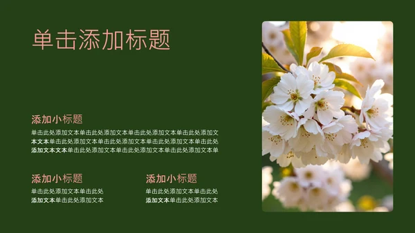 粉绿色简约几何樱花介绍