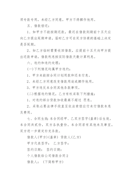 个人借款给公司借款合同.docx