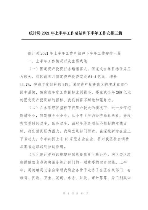 统计局2021年上半年工作总结和下半年工作安排三篇.docx