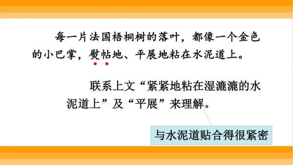 【同步课件】 5.铺满金色巴掌的水泥道   课件（2课时）