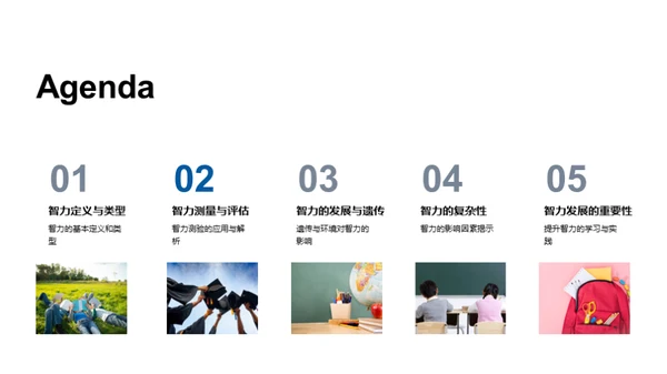 智力揭秘与提升