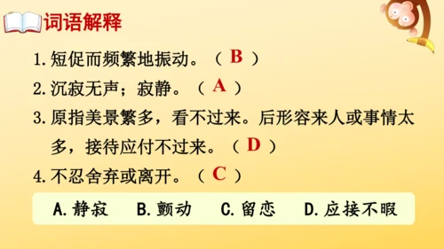 22 鸟的天堂   课件