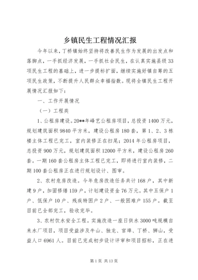 乡镇民生工程情况汇报.docx