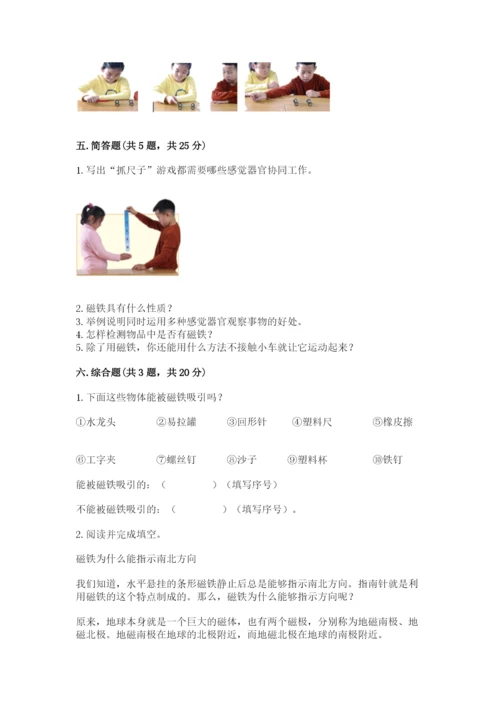 教科版小学科学二年级下册 期末测试卷（b卷）.docx