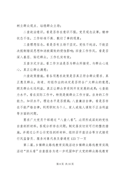 乡镇开展群众路线教育实践活动试点工作方案.docx
