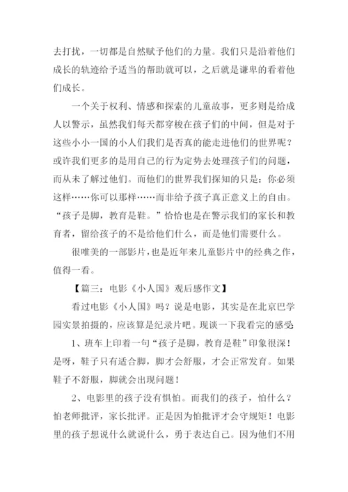 小人国观后感.docx