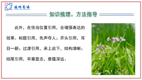 专题06作文（写作模板、审题、结构、语言）（考点串讲）-七年级语文上学期期中考点大串讲（统编版202