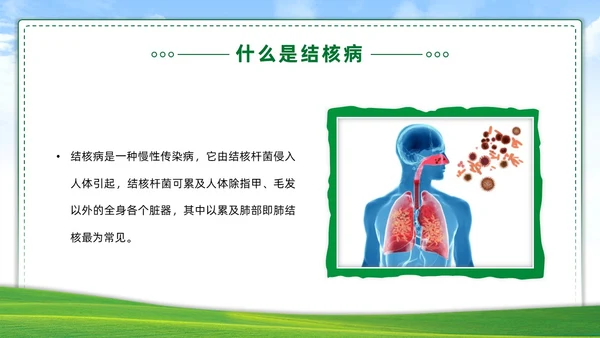 绿色简约世界防治结核病日你我共同努力终结结核流行PPT课件