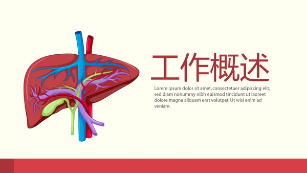 医疗医学人体肝动态PPT