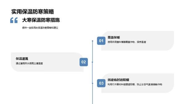 大寒节气与农业策略