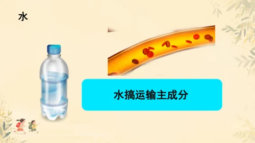 初中生物学人教版（新课程标准）七年级下册4.2.1食物中的营养物质课件(共21张PPT)